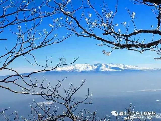 山西省人大代表张宏亮:创新传承 助力乡村振兴